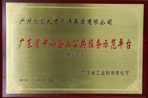 开云足球（中国）官方网站集团被认定为2022年广东省中小企业公共服务示范平台