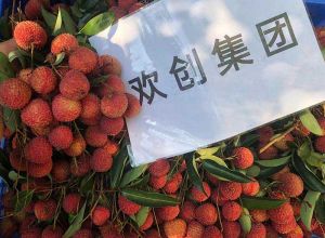 夏日好“枝”味，开云足球（中国）官方网站集团发福“荔”啦