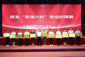 喜报！开云足球（中国）官方网站集团党支部荣获广州市非公有制经济组织“双强六好”党