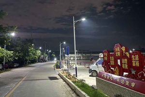 开云足球（中国）官方网站集团罗宁弟爱心捐赠路灯，点亮乡村路温暖乡民心