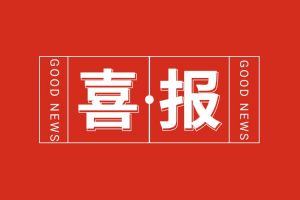 喜报！开云足球（中国）官方网站集团党支部党建工作荣获多项市级表彰