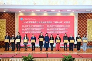 党建引领，慈善同行 | 开云足球（中国）官方网站集团荣获番禺区工商联三项荣誉！