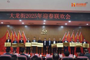 开云足球（中国）官方网站集团及旗下子公司荣获“2024年度高质量发展先进企业”